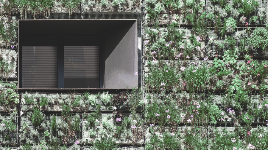 Os desafios da arquitetura diante das mudanças climáticas