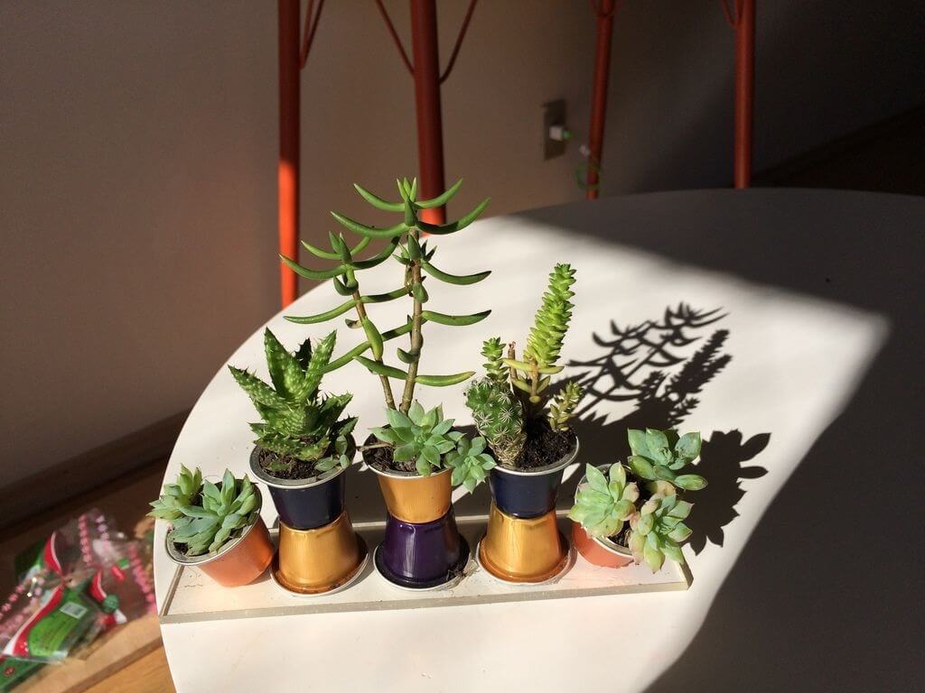 Doses diárias de upcycling