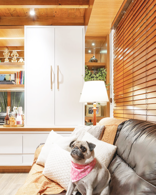 Cortinas e animais de estimação: saiba o que considerar na hora de...