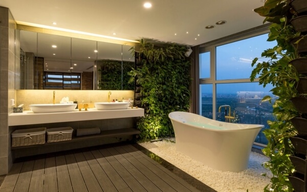 Qual a finalidade das plantas nos ambientes?